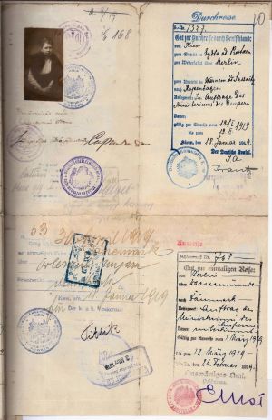 Дипломатичний паспорт Марії Донцової, урядовця Надзвичайної дипломатичної місії УНР у Данії. 1919 р.
