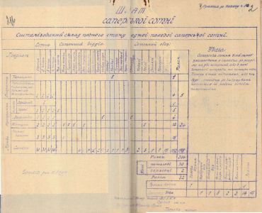 Документи Начальної команди Галицької армії: штат саперської сотні. 17 червня 1919 р.