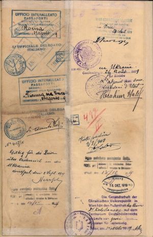 Дипломатичний паспорт УНР радника Посольства УНР у Туреччині Л. Кобилянського. 16 серпня 1919 р.