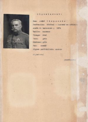 Дипломатичний паспорт Андрія Окопенка. 30 липня 1919 р.